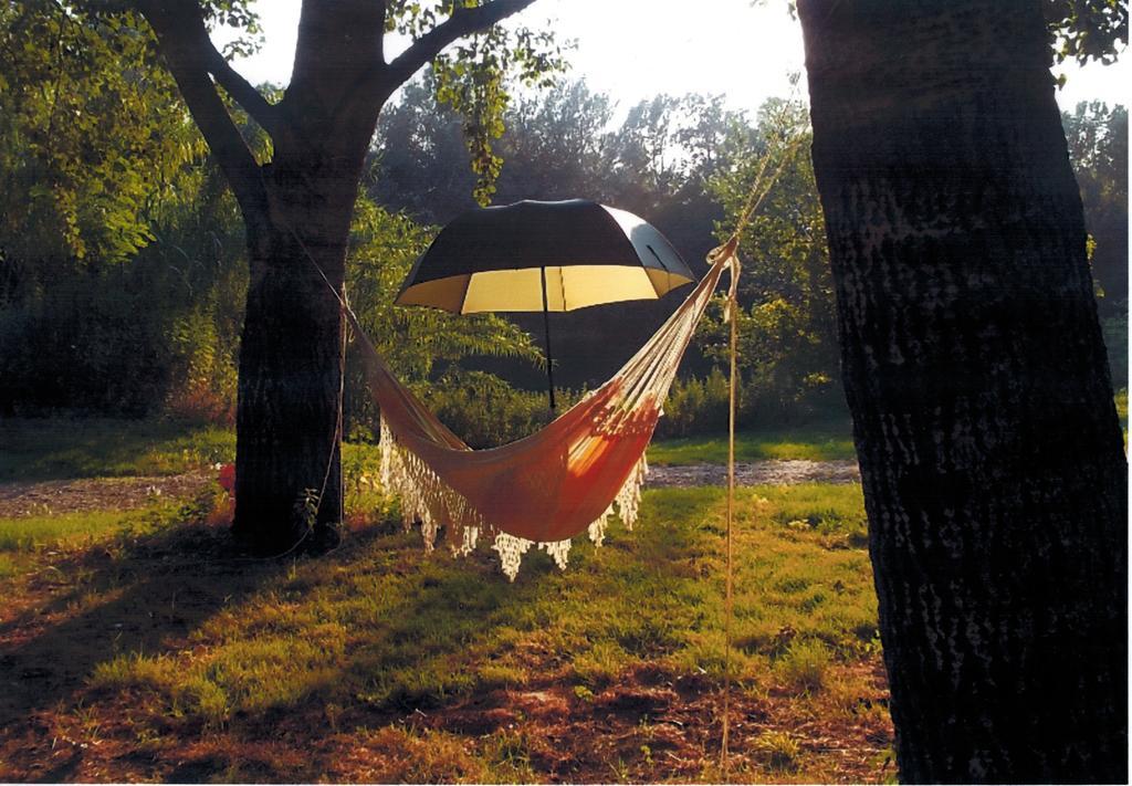 Camping Paradis Bellerive Montfrin Exterior foto